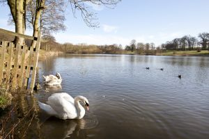 Hardwick Hall 24 sm.jpg